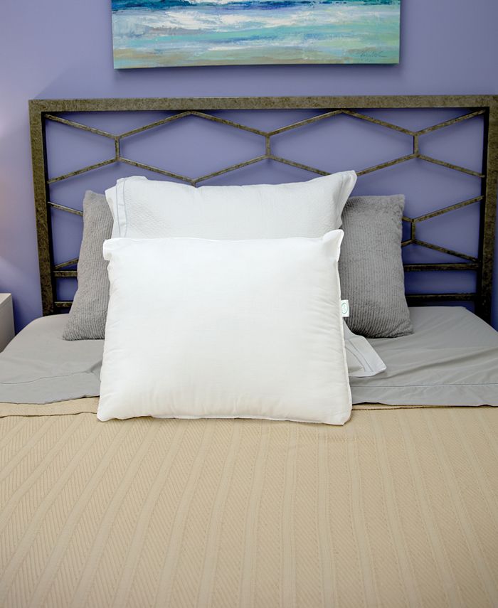 Therapedic SensorPEDIC Fresh & Clean UltraFresh Antimicrobial Pillows