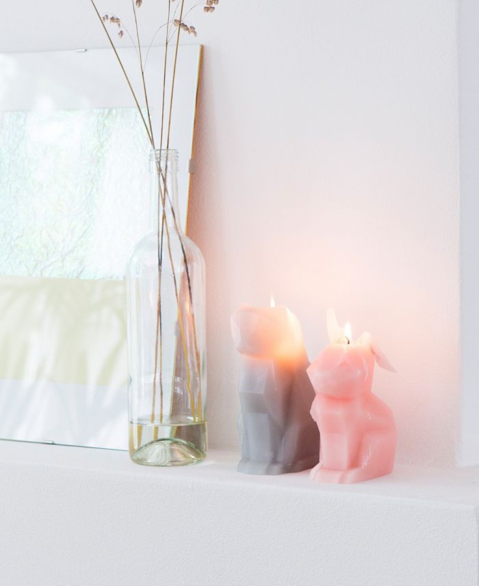 54 degrees Celsius PyroPet Hoppa Candle & Reviews Unique Gifts by