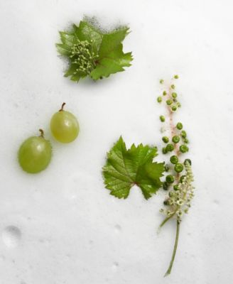 Vinoclean Instant Foaming Cleanser, 5-oz.