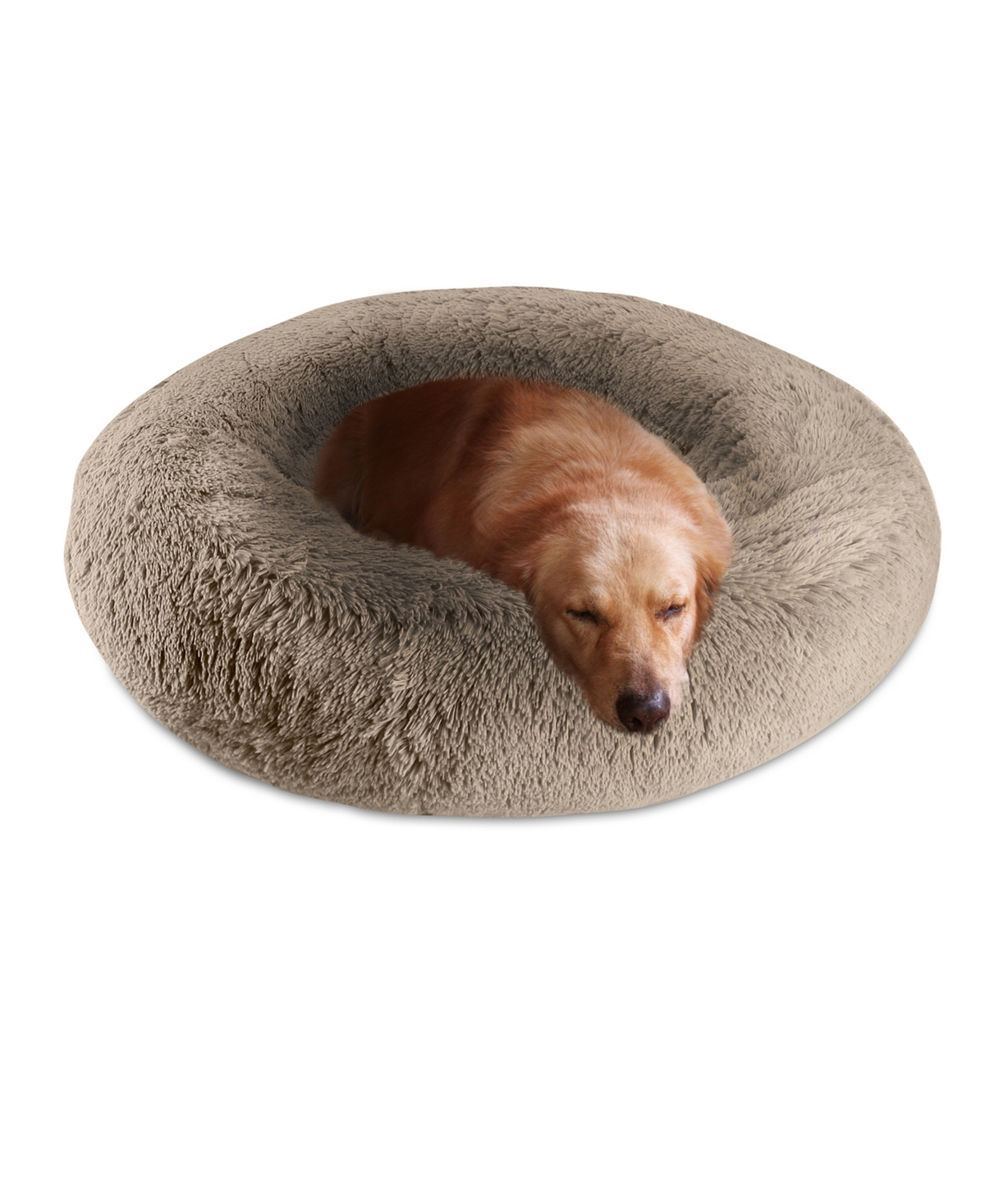 Arlee orthopedic hotsell dog bed