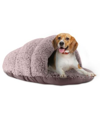 macys dog bed