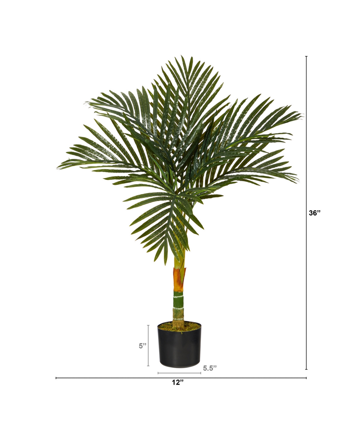NEARLY NATURAL 3' SINGLE STALK GOLD-TONE CANE ARTIFICIAL PALM TREE 