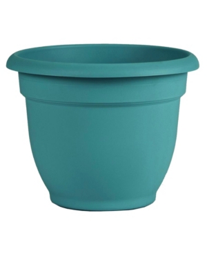 Bloem Ariana Self Watering 10