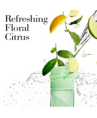 Green Tea Scent Spray, 3.3 oz.