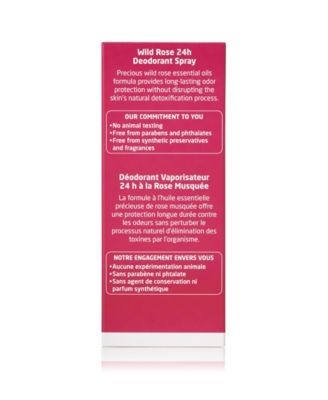 Wild Rose 24 Hours Deodorant Spray, 3.4 oz