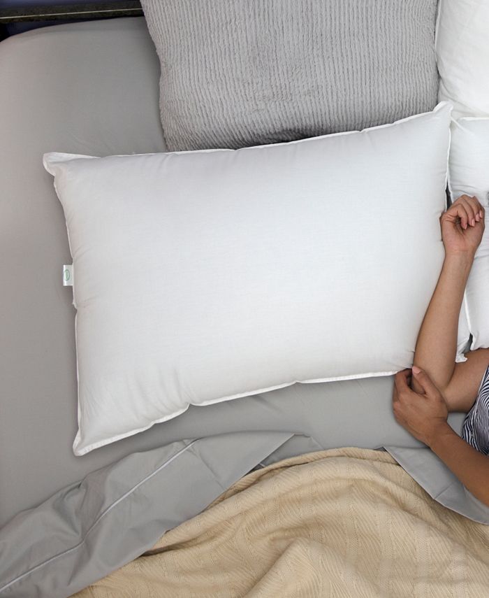 BioPEDIC 2 Piece Fresh and Clean Pillow with UltraFresh Treated Fiber