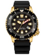 Citizen watches hot sale at macys