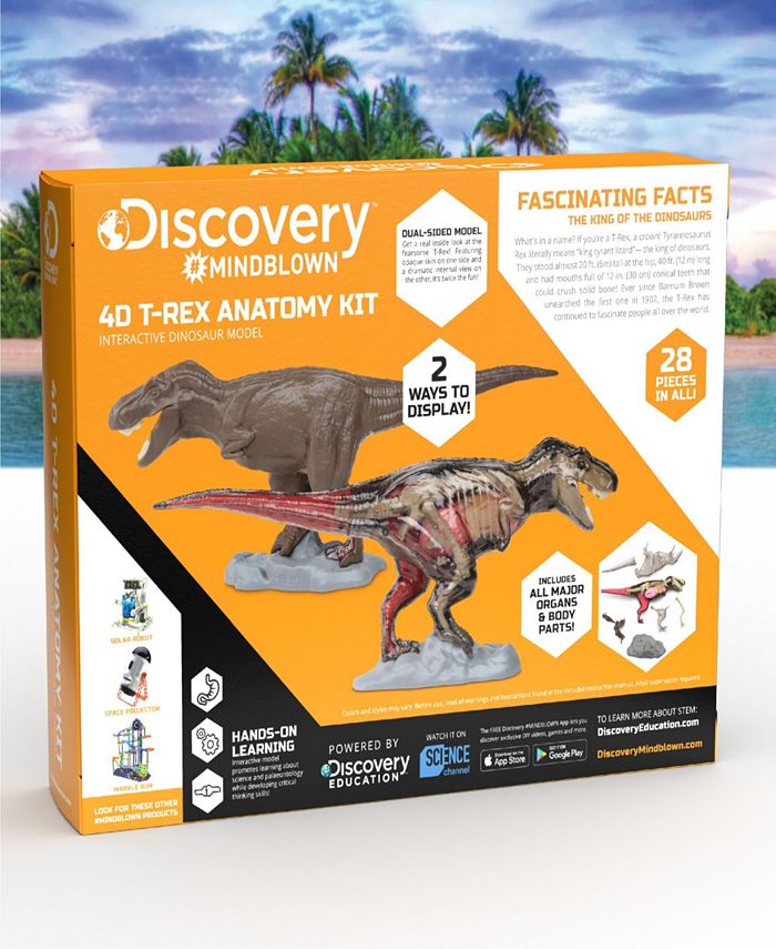 Discovery MINDBLOWN Discovery Mindblown Toy Anatomy TRex Kit Macy's