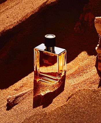 V06 Similar a Terre 100ml - Perfumes Sortie