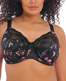 Full Figure Morgan Banded Underwire Stretch Lace Bra EL4110, Online Only 
