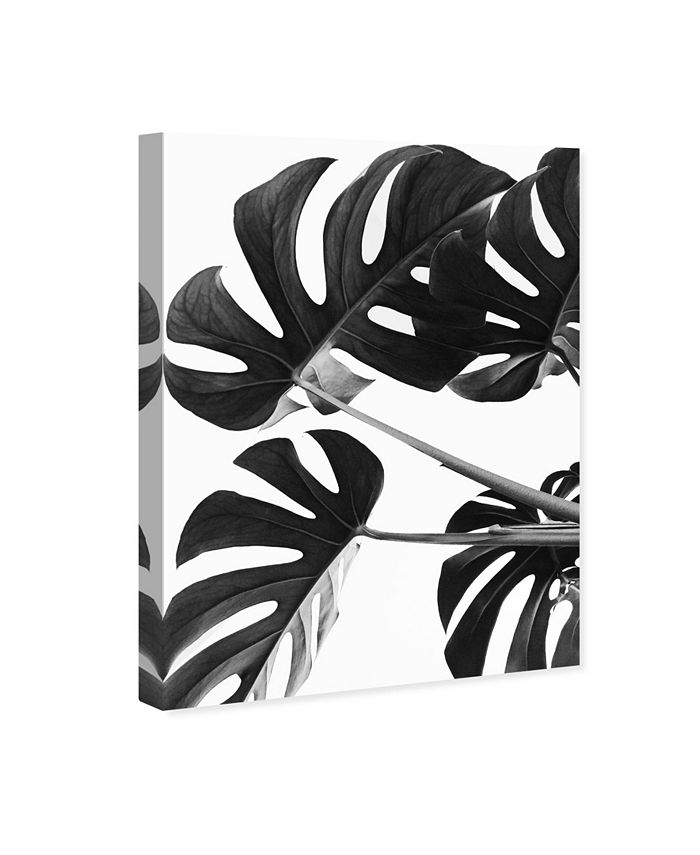 Oliver Gal Minimal Leaves Giclee Art Print on Gallery Wrap Canvas - Macy's