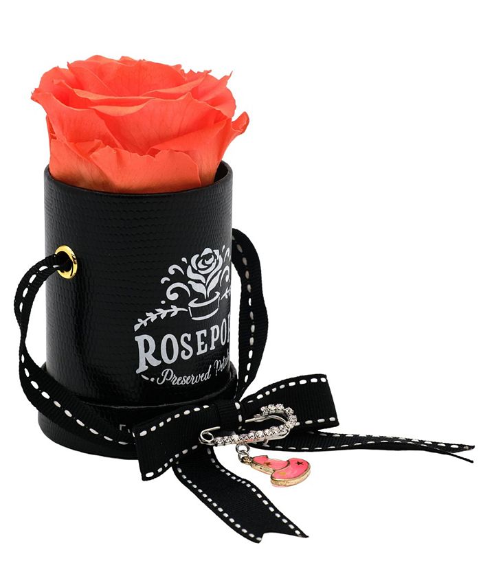 Rosepops Pop Up Witch One with Single Tangerine Twist Real Rose with