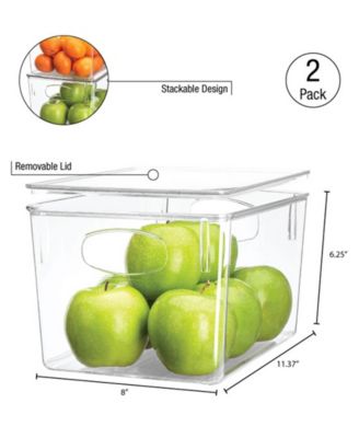 2 pack Large Plastic Clear Storage Bins with Lids