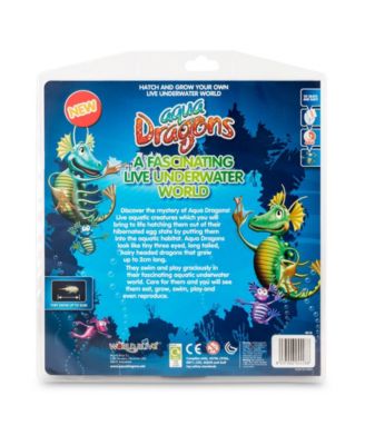 a Fascinating Live Underwater World Book with Blister Kit Set, 5 Piece