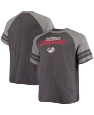 Lids San Francisco 49ers Fanatics Branded Big & Tall Throwback 2-Stripe  Raglan T-Shirt - Scarlet/Heathered Gray