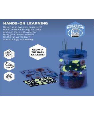 Discovery Kids DIY Terrarium Grow Kit, Fast-Growing Indoor Mini Garden