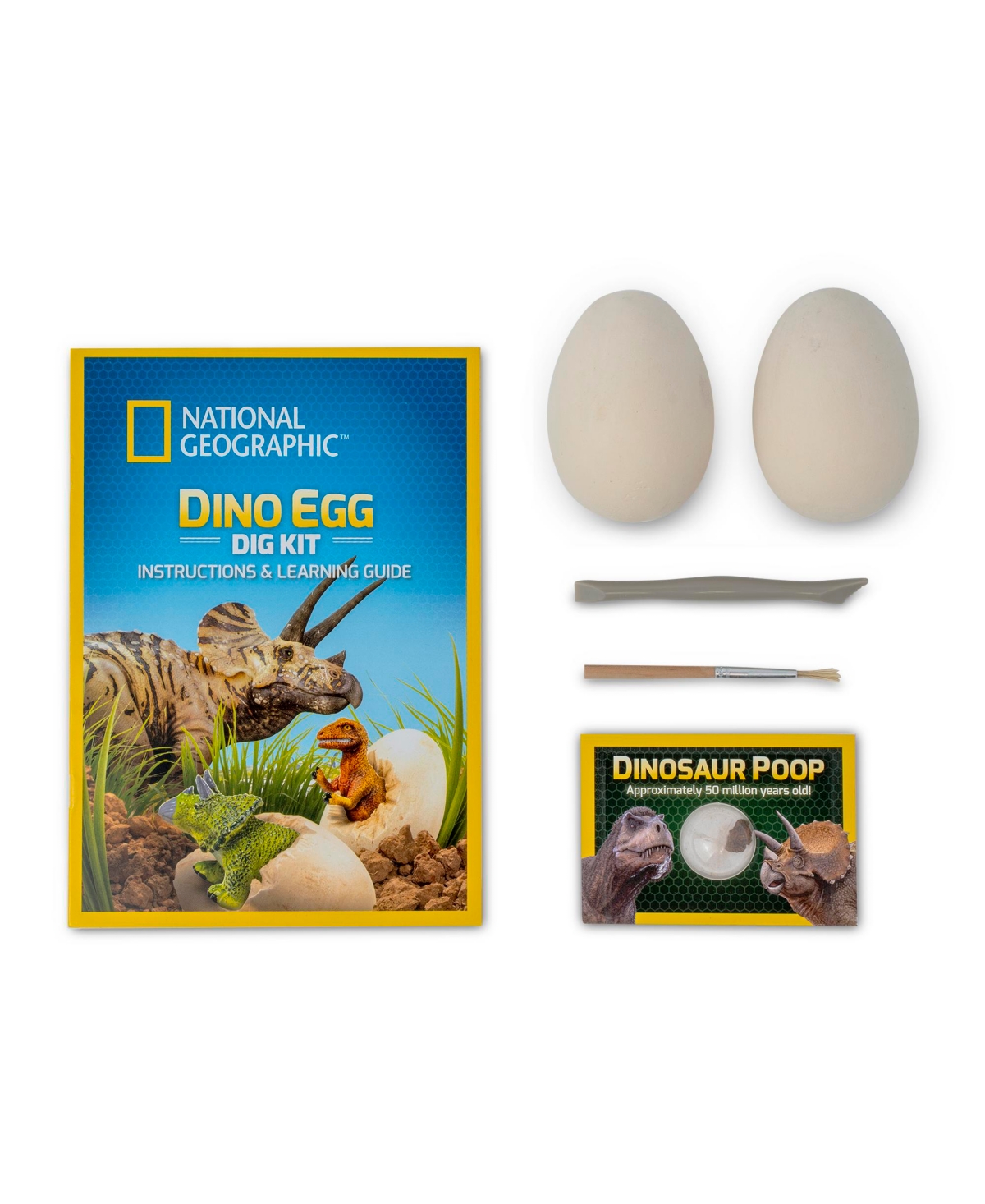 Shop National Geographic Dino Egg Dig Kit In N,a