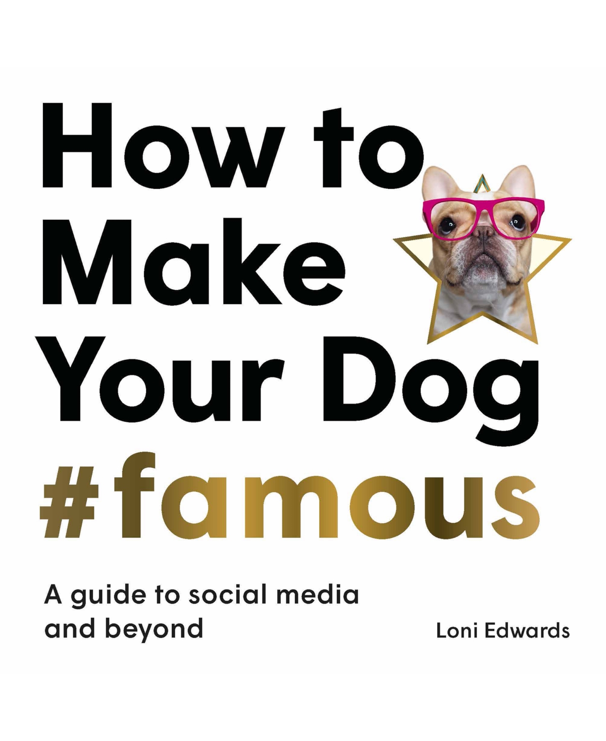 ISBN 9781913947149 product image for Chronicle Books How to Make Your Dog Famous | upcitemdb.com
