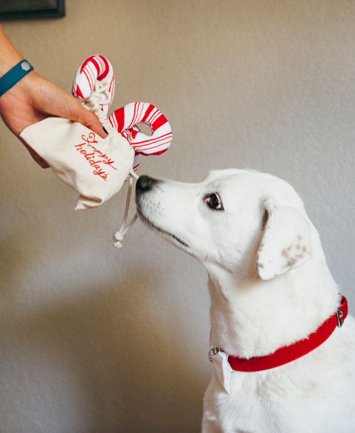 P.L.A.Y. Holiday Classic Candy Cane Dog Toy Set Macy's