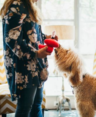 Puppy Love Collection: Fur-Ever Hearts