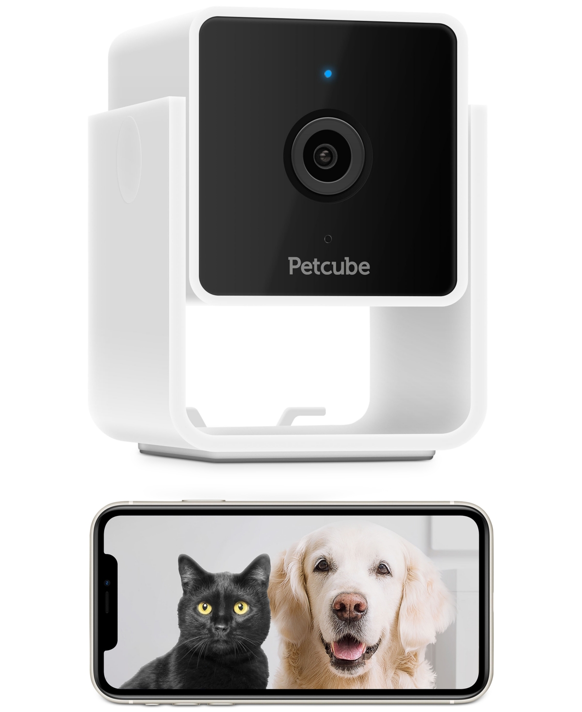 Customer Favorite Petcube Smart Hd Pet Camera Dogtime Shop