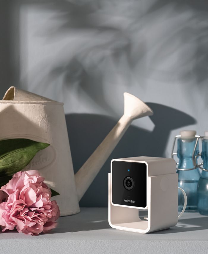 Petcube Smart HD Pet Camera Macy's