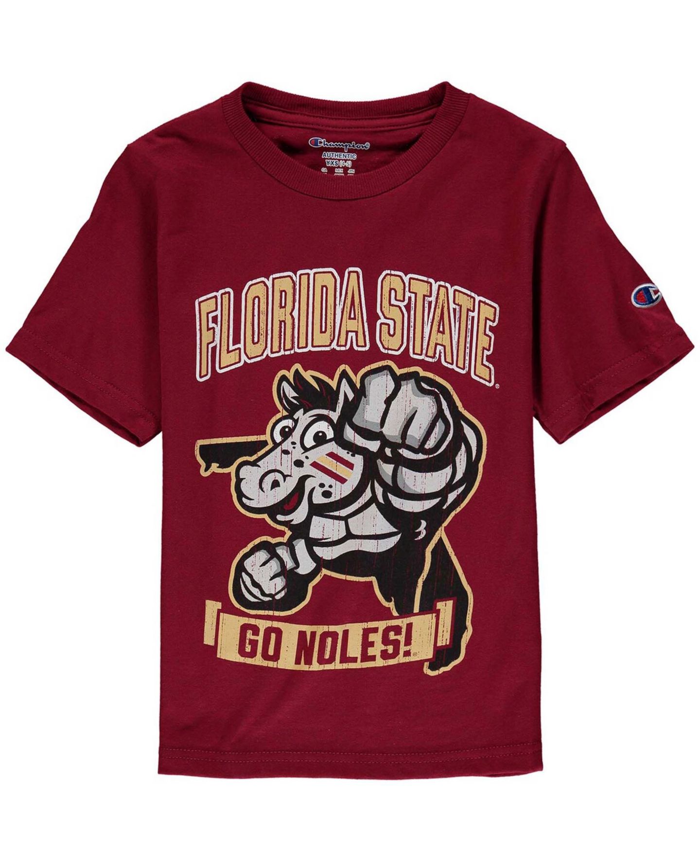 Футболка Champion Garnet Florida State Seminoles Strong Mascot T-shirt для мальчиков — фото 1