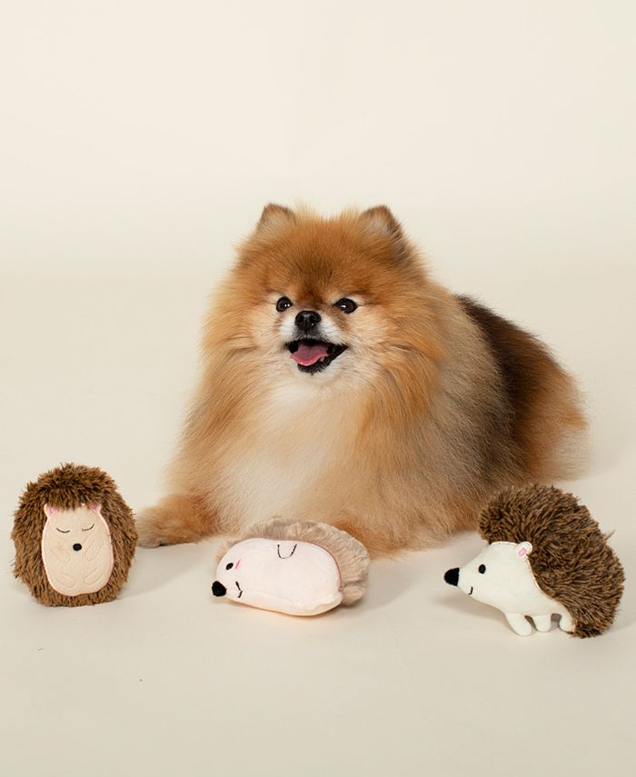 Fringe Studio 3Pc. Hedgehogs Dog Toy Set Macy's
