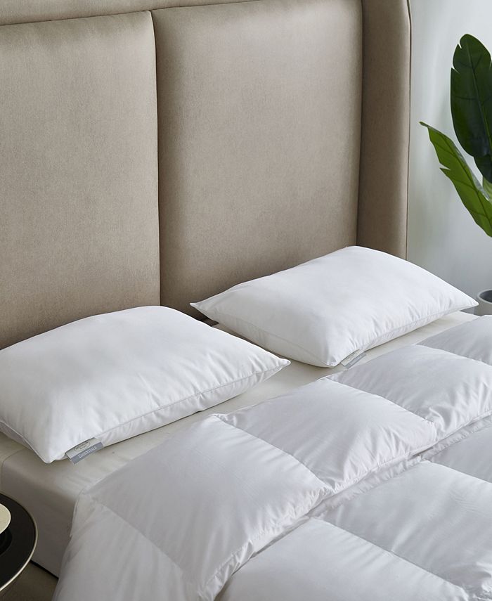 Kathy Ireland 2 Piece Pillow Set, Jumbo Macy's