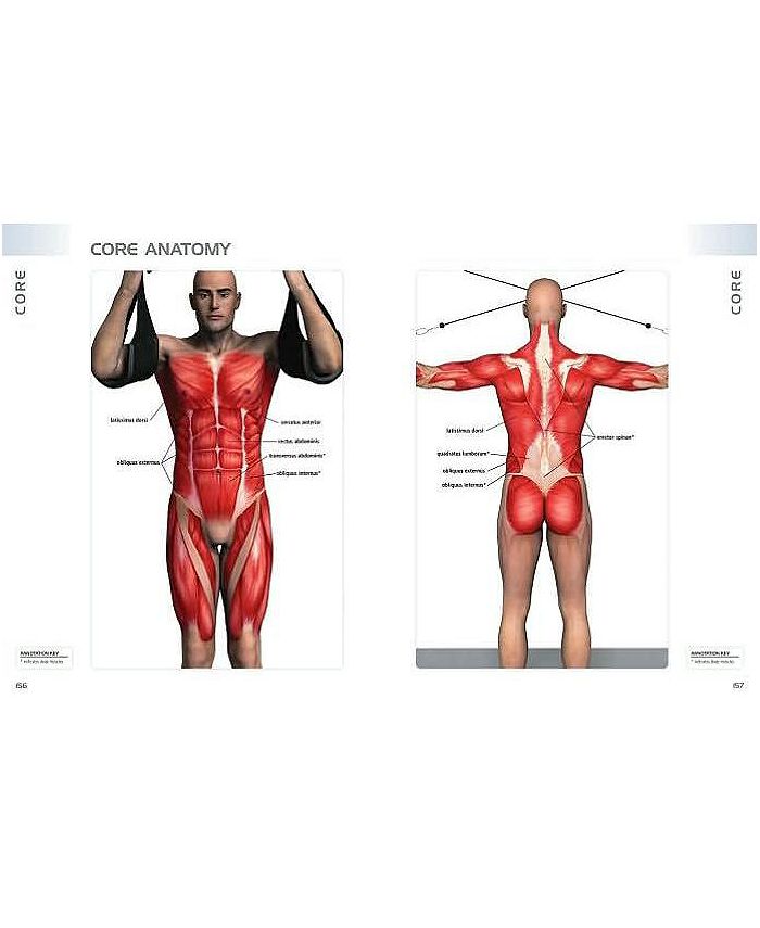Barnes & Noble Anatomy of Exercise A Trainer's Inside Guide to Your