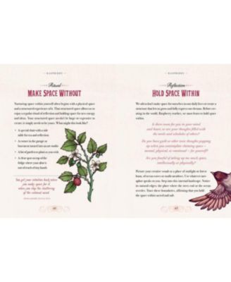 The Illustrated Herbiary - Guidance and Rituals from 36 Bewitching Botanicals by Maia Toll