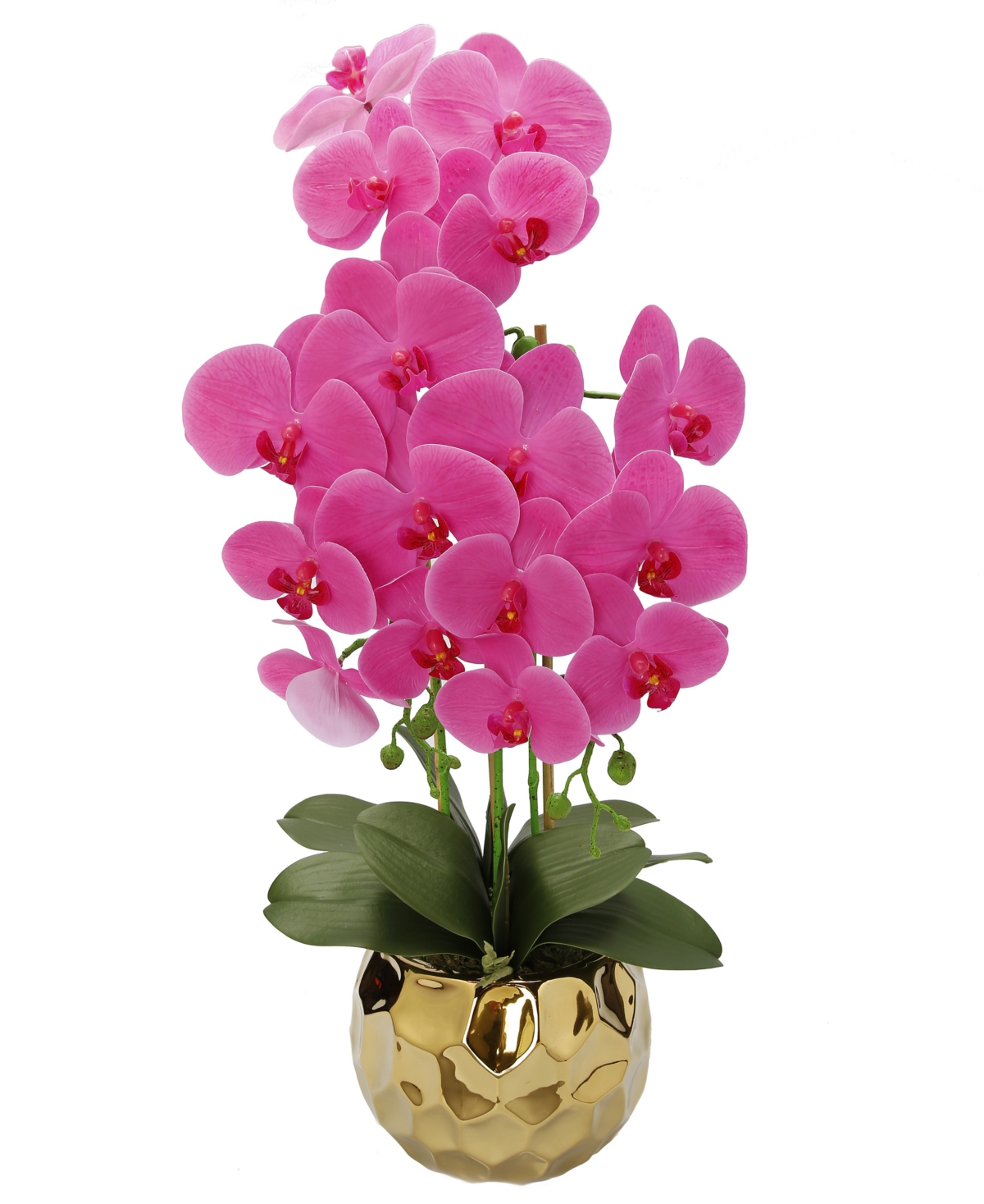 Orchid Plant in Round Design Vase - Gold-Tone