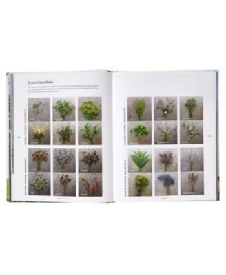 Floret Farm's A Year in Flowers: Designing Gorgeous Arrangements for Every Season (Flower Arranging Book, Bouquet and Floral Design Book) by Erin Benzakein