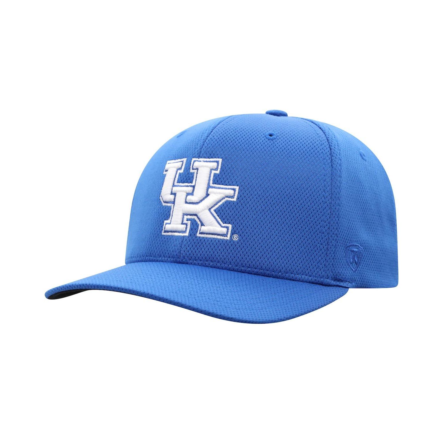 Men's Royal Kentucky Wildcats Reflex Logo Flex Hat