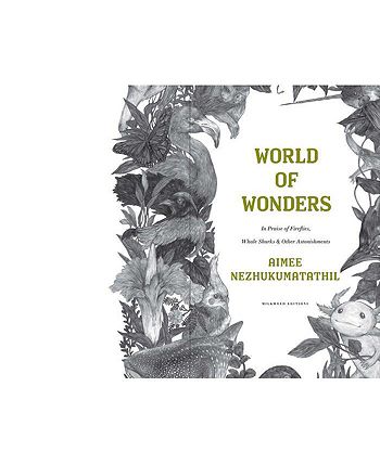 Barnes & Noble - 