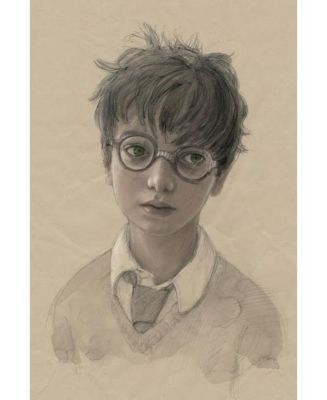 Harry Potter and the Sorcerer's Stone: The Illustrated Edition (Illustrated): The Illustrated Edition by J. K. Rowling