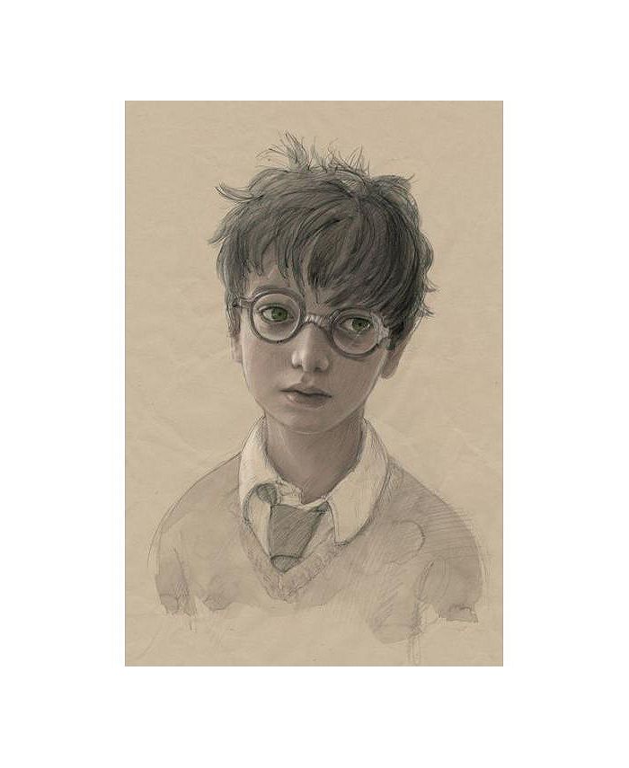 Barnes & Noble Harry Potter and the Sorcerer's Stone The Illustrated