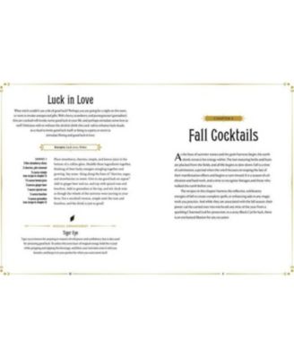 WitchCraft Cocktails: 70 Seasonal Drinks Infused with Magic & Ritual by Julia Halina Hadas