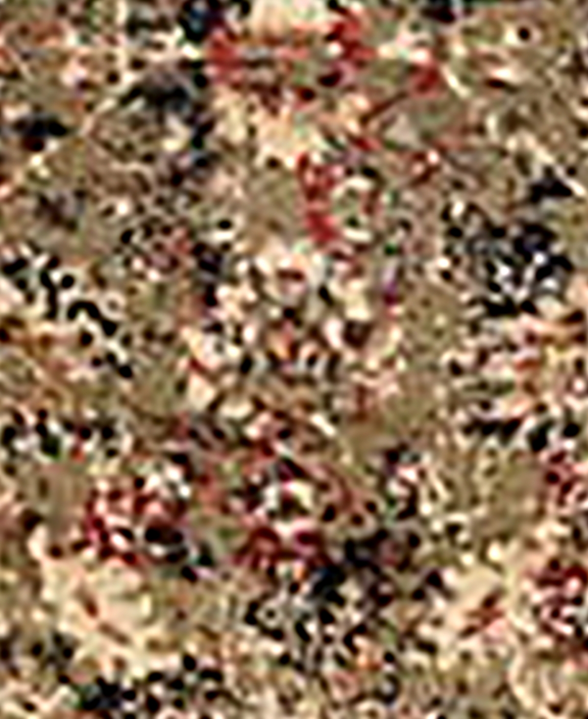 Bayshore Home Titan TTN07 Area Rug