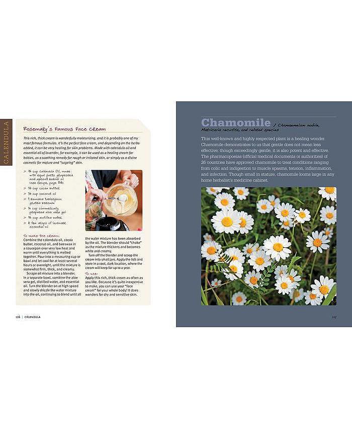 Barnes & Noble Rosemary Gladstar's Medicinal Herbs A Beginner's Guide