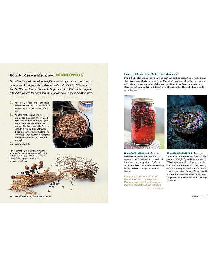 Barnes & Noble Rosemary Gladstar's Medicinal Herbs A Beginner's Guide