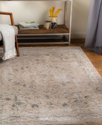 Brunswick BWK2312 2'7" x 4' Area Rug