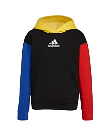 Toddler Boys Long Sleeves Freestyle Hooded Pullover