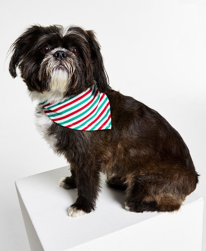 Macys discount dog pajamas