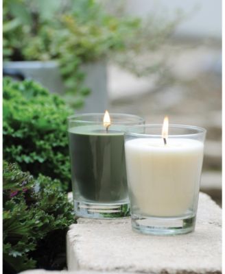 Large Veriglass Japanese Cedar wood Fragrance Jar Candle