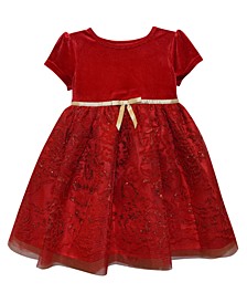 Baby Girls Fit-and-Flare Velvet Flocked Lace Dress