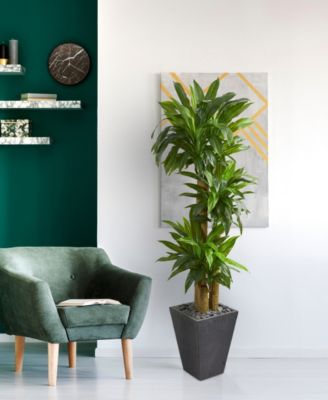 5.5' Cornstalk Dracaena Artificial Plant in Slate Planter - Real Touch