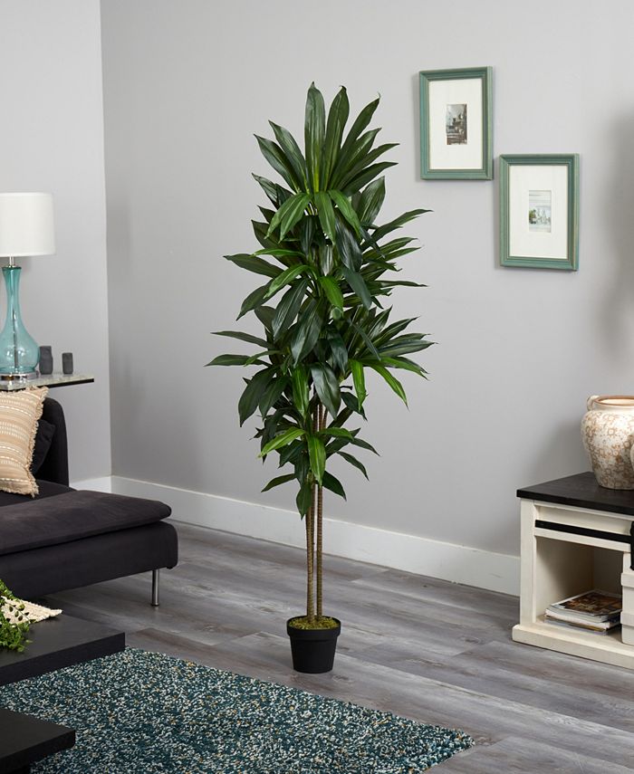 Nearly Natural 6' Dracaena Real Touch Artificial Plant - Macy's