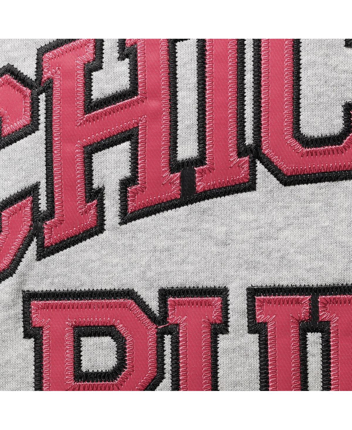 Mitchell & Ness Scottie Pippen Heathered Gray Chicago Bulls Big & Tall Name & Number Pullover Hoodie In Heathered Gray