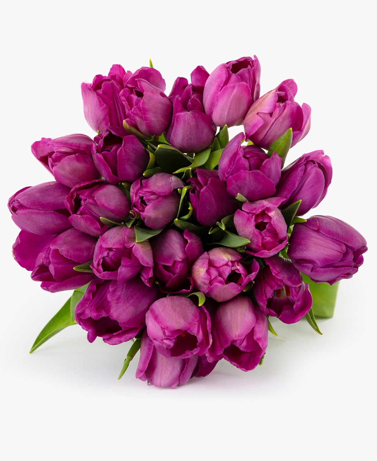 Purple Pop Tulips Fresh Flower Bouquet